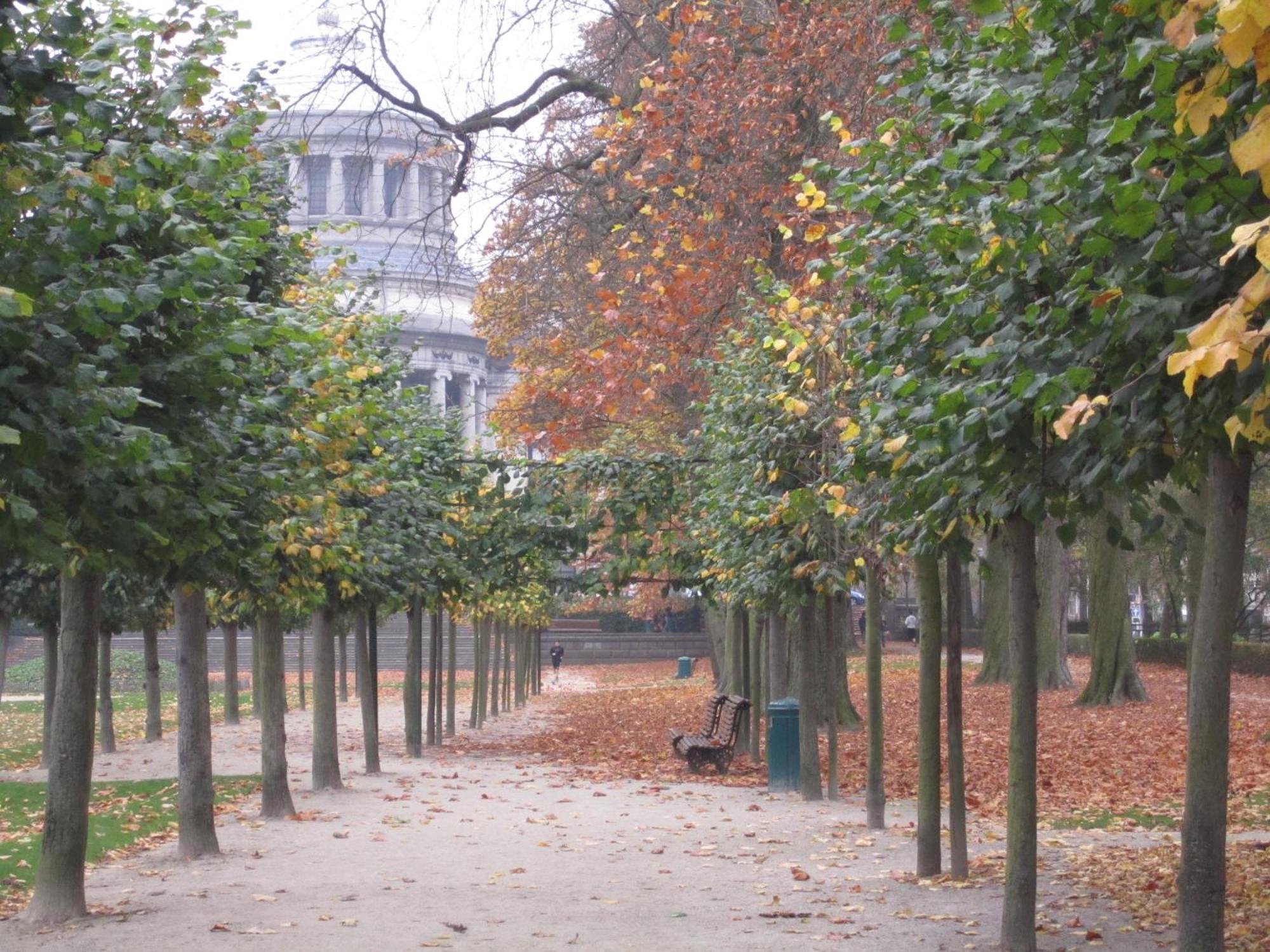 B&B A Cote Du Cinquantenaire Etterbeek Экстерьер фото